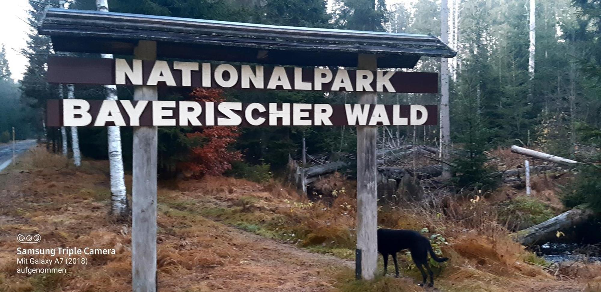 Gaestehaus Am Goldberg Sankt Oswald-Riedlhuette Kültér fotó